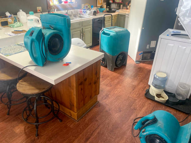 Best Mold removal after water damage  in Greens Farms, CT