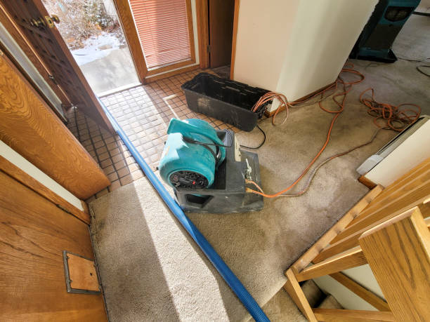 Best Flooded house restoration  in Greens Farms, CT