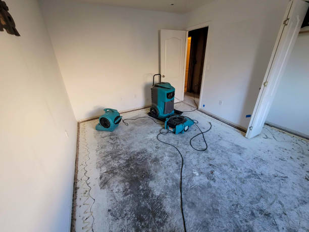 Water damage restoration insurance claims in Greens Farms, CT