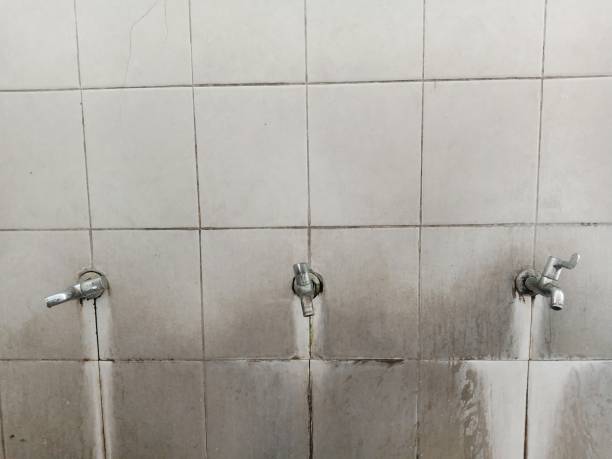 Best Emergency water damage restoration  in Greens Farms, CT