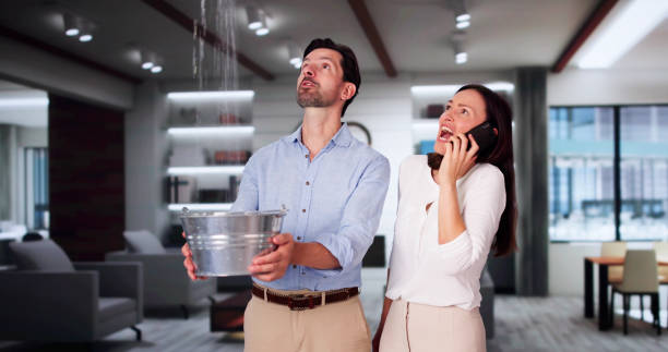 Best Basement water damage restoration  in Greens Farms, CT